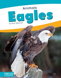 Immagine di copertina: Eagles 1st edition 9781635178494