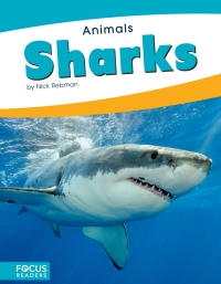 صورة الغلاف: Sharks 1st edition 9781635178548