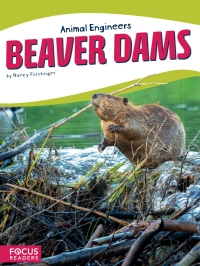 Cover image: Beaver Dams 1st edition 9781635178579