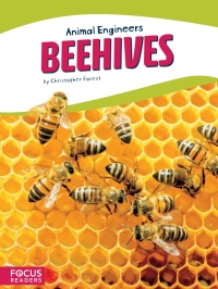 Cover image: Beehives 1st edition 9781635178586