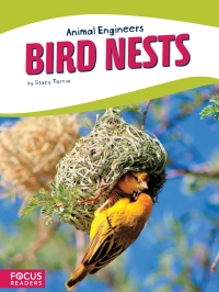 Cover image: Bird Nests 1st edition 9781635178593