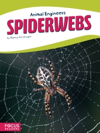 Cover image: Spiderwebs 1st edition 9781635178630