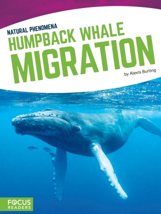Cover image: Humpback Whale Migration 1st edition 9781635179088