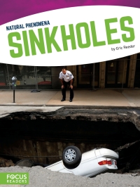 Imagen de portada: Sinkholes 1st edition 9781635179125