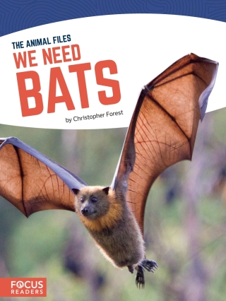 Omslagafbeelding: We Need Bats 1st edition 9781641853095