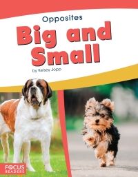 Omslagafbeelding: Big and Small 1st edition 9781641853439