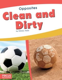 表紙画像: Clean and Dirty 1st edition 9781641853446