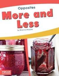 Omslagafbeelding: More and Less 1st edition 9781641853491