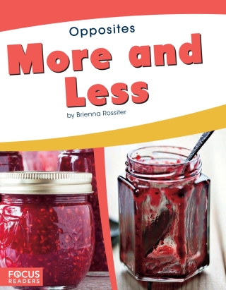 Cover image: More and Less 1st edition 9781641853491