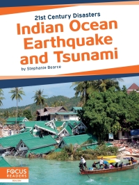 Cover image: Indian Ocean Earthquake and Tsunami 1st edition 9781641857413