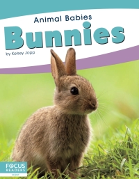 Cover image: Bunnies 1st edition 9781641857437