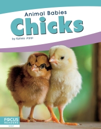 Titelbild: Chicks 1st edition 9781641857444