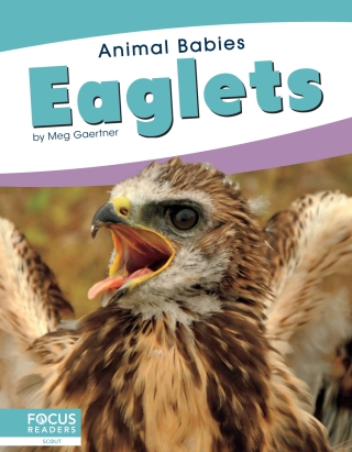 Imagen de portada: Eaglets 1st edition 9781641857468