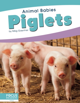 Omslagafbeelding: Piglets 1st edition 9781641857499