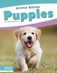 Cover image: Puppies 1st edition 9781641857505