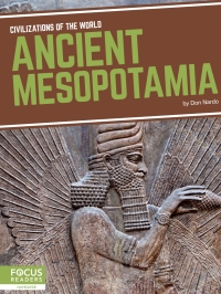 Cover image: Ancient Mesopotamia 1st edition 9781641857550