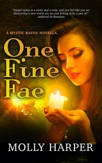 Cover image: One Fine Fae 9781641971751