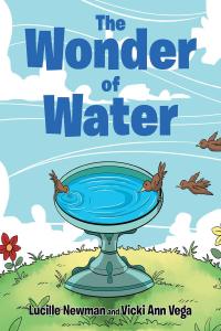 Cover image: The Wonder of Water 9781642146882