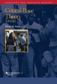Cover image: Bridges's Critical Race Theory: A Primer 1st edition 9781683284437