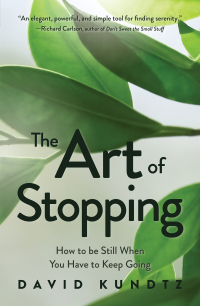 Omslagafbeelding: The Art of Stopping 9781642504392