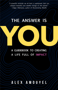 Titelbild: The Answer Is You 9781642507218