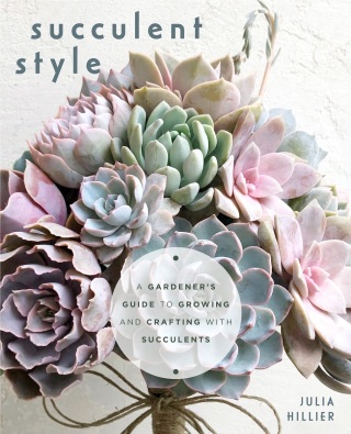 Imagen de portada: Succulent Style 9781642507850