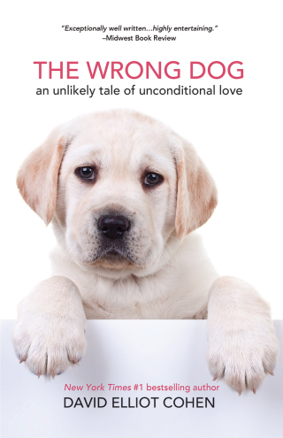Cover image: The Wrong Dog 9781642508994