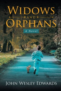 Cover image: Widows and Orphans 9781642583625