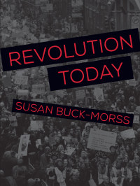 Cover image: Revolution Today 9781608466795