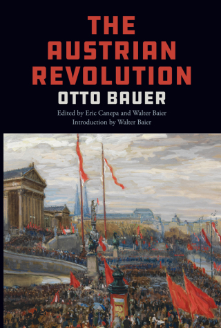 Cover image: The Austrian Revolution 9781642592566
