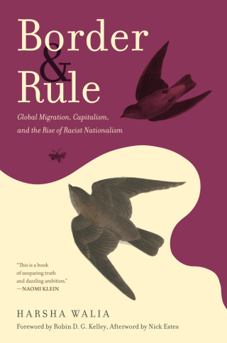 Cover image: Border and Rule 9781642592696