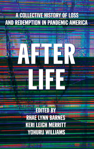 Imagen de portada: After Life 9781642598759