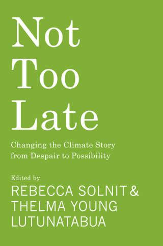 Cover image: Not Too Late 9781642598971