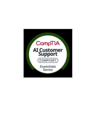 Cover image: AI Customer Support Essentials V1 1st edition 9781642746785