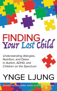 Omslagafbeelding: Finding Your Lost Child 9781642791440