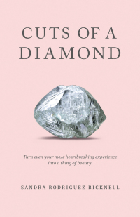 Imagen de portada: Cuts of a Diamond 9781642792065