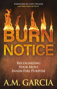 Imagen de portada: Burn Notice 9781642799446