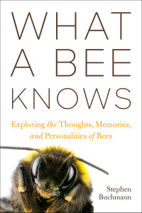 Omslagafbeelding: What a Bee Knows 9781642831245