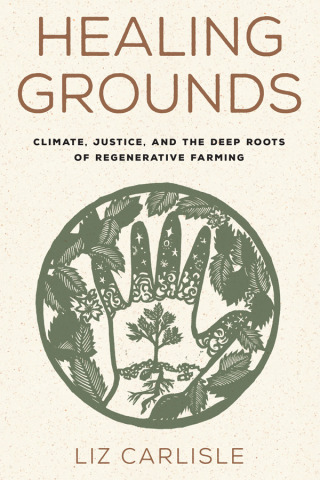 Cover image: Healing Grounds 9781642832211