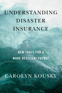 Cover image: Understanding Disaster Insurance 9781642832259