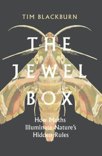 Cover image: The Jewel Box 9781642832730
