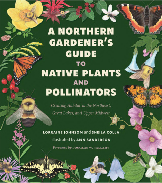 Cover image: A Northern Gardener’s Guide to Native Plants and Pollinators 9781642832990
