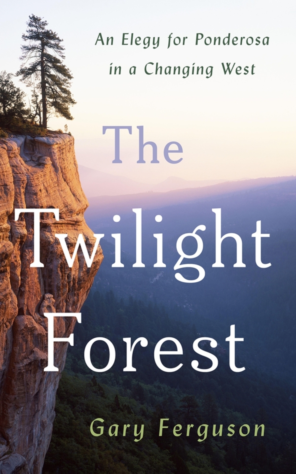 The Twilight Forest eBook