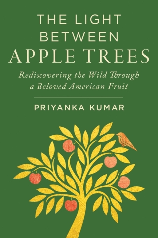 Imagen de portada: The Light Between Apple Trees 9781642833638