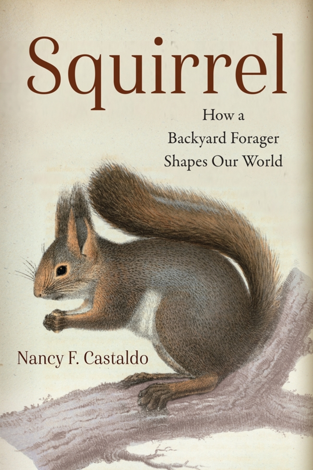 Squirrel (eBook)