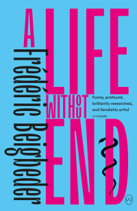 Omslagafbeelding: A Life Without End 9781642860672