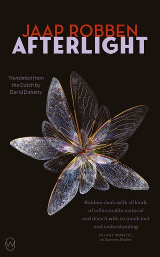Cover image: Afterlight 9781642861471