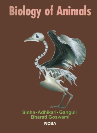 Cover image: Biology Of Animals 9781642872569