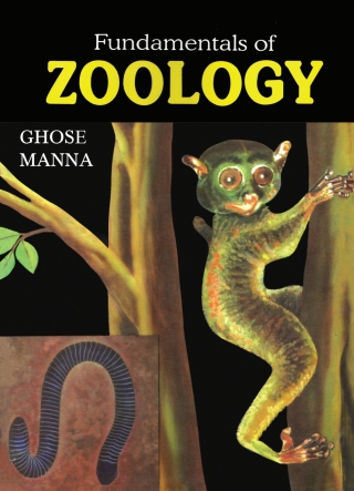 صورة الغلاف: Fundamentals of Zoology 9781642873306