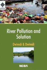 Cover image: River Pollution and Solution 9781642873542